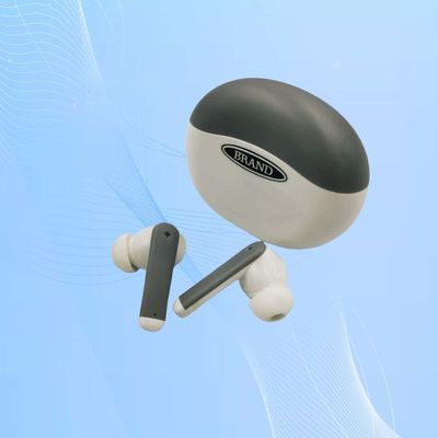 4 プログラム OTC 補聴器 騒音消去 110dB までの出力