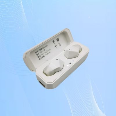 4 プログラム 視覚耳機 オーバーカスタム老人用の補聴器 0.52インチ