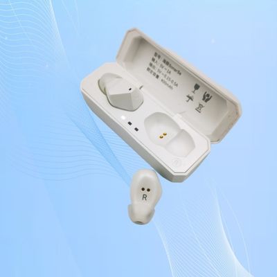 エコー 抑制 と 声 強化 を 備えた 再充電 可能な 補聴器