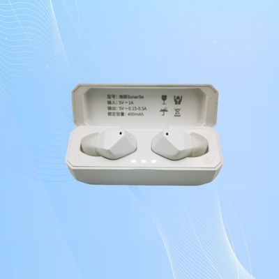 エコー 抑制 と 声 強化 を 備えた 再充電 可能な 補聴器
