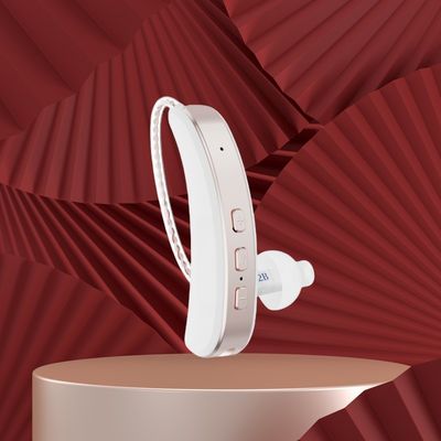 32 チャンネル デジタル 再充電可能な 音声 補聴器
